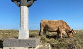 Percorso Marcia Saint Geniez d'Olt et d'Aubrac - Les Vergnes Mailhebiau Tourbière  - Photo 8