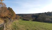 Tour Wandern Malmedy - ligneuville - ondeval  aller retour  - Photo 2