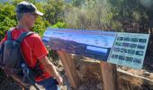 Tocht Stappen La Londe-les-Maures - SityTrail - Notre Dame des Maures-12-02-21 - Photo 10