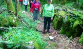 Excursión Senderismo Besain - besain 39.2019 06 06 - Photo 11