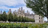 Randonnée V.T.C. Blois - Blois Chambord et retour - Photo 10