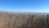 Trail  Verzy - Le phare de verzenay  - Photo 5