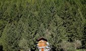 Excursión A pie Peio - (SI C02) Pejo - Malga Ponte Vecchio - Malga Verdignana - Passo Cercena - Malga Cercena Alta - Malga Cercena Bassa - Bagni di Rabbi - Photo 4