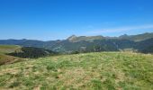 Randonnée Marche Laveissière - lioran 2023-08-08 plomb du Cantal - Photo 7