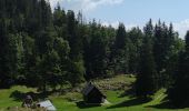 Tour Wandern Wochein - Etape 4 : hut to hut  - Photo 14