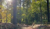 Randonnée Marche Genappe - Bois de Ways Ruart, à l’envers - Photo 11