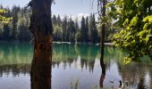 Tocht Stappen Servoz - lac Vert,le chatelet,chalets de souay,Ayeres pierreries - Photo 13