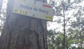 Trail Walking Noisy-sur-École - Forêt 3 pignons Fontainebleau 20 bosses  - Photo 1