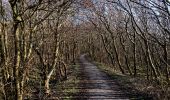 Tocht Te voet Texel - Natuurpad Alloo - Photo 3