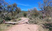 Trail Walking Le Muy - 20230312 Palayson  les plaines - Photo 14