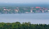 Tour Zu Fuß Unbekannt - Wanderlehrpfad Teufelssee - Photo 5