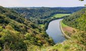 Tour Wandern Dinant - Anseremme - Freyr - Walzin - Photo 9