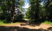 Tour Wandern Rethondes - en forêt de Laigue_8_06_2020_les Routes des Bonshommes, de la Trouée des Bonhommes_Route forestière de Sainte-Croix - Photo 16