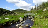 Trail On foot Westport-Belmullet Municipal District - Botky Teep - Photo 3