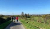 Tour Wandern Hotton - Marenne - Photo 4