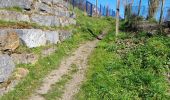Tour Wandern Wanze - Bas Oha 180325 - Photo 2