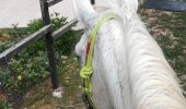 Trail Horseback riding Saint-Martin - St Martin domevre bois banal Pont rouge blockhaus  - Photo 1