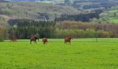 Trail Walking Manhay - Marche ADEPS GRANDMENIL - Photo 5