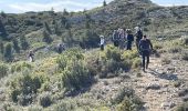 Excursión Senderismo Aureille - PF-Aureille - La Vallongue d'Aureille - MDu - Photo 10