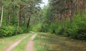 Tour Zu Fuß Velten - Velten-Borgsdorf - Photo 4