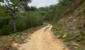 Tocht Stappen Saint-Guilhem-le-Désert - Saint Gilhem le désert  - Photo 9