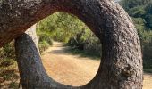 Tour Wandern Les Sables-d'Olonne - Sentier Les Bourbes - Photo 2