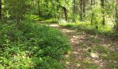 Tocht Noords wandelen Livron - Livron capsus Barzun plateau capbat - Photo 7