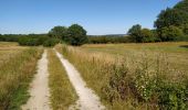 Excursión Senderismo Anhée - Bois de la Croix de Banse et Bois de Ronquière - Photo 8