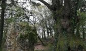 Tour Wandern Retiers - Retiers éoliennes et menhir de Richebourg - Photo 1