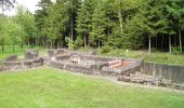 Percorso A piedi Michelstadt - Rundwanderweg Würzberg 4 : Hubenweg Würzberg - Photo 4