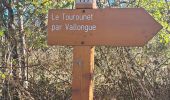 Trail Walking Coursegoules - Circuit de Vallon - Photo 1
