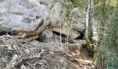 Excursión Senderismo Die - Le Dôme ou Pié Ferré de l'Abbaye Valcroissant - Photo 14