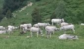 Randonnée Marche Eyne - Col de Nuria par vallée d'EYNE - Photo 2