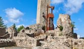 Trail Walking Le Malzieu-Ville - Malzieu /Tour d'apcher / Porte des fees - Photo 5
