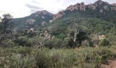 Tocht Stappen Saint-Raphaël - massif de l'Esterel : autour des grues  - Photo 12