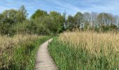 Tocht Stappen Tienen - S-GR Hageland : Tienen - Terhagen - Photo 8