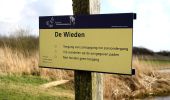 Excursión A pie Steenwijkerland - WNW WaterReijk - De Kiersche Weide - paarse route - Photo 3