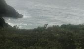 Trail Nordic walking Sainte-Anne - Fond grand ma  modette le littoral  - Photo 1