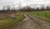 Trail Walking Glabbeek - Bunsbeek - Photo 13