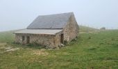 Tocht Stappen Laveissière - super Lioran Buron des Gardes - Photo 2