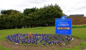 Percorso A piedi Unknown - Comber Greenway - Photo 4