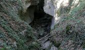 Tocht Stappen La Grande-Béroche - Vaumarcus - Provence - Mutrux - Vaumarcus 21.09.2019 - Photo 1