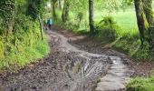 Tour Wandern Monterroso - Arrêté Melide - Photo 8