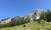 Trail On foot Val di Zoldo - IT-523 - Photo 1