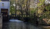 Trail Walking Yerres - reconnaissance rando thème apiculture - Photo 1