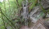 Tour Wandern Bouillon - La Randonnée des échelles - Rochehaut - Photo 4