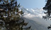 Randonnée Marche Chamonix-Mont-Blanc - 20211010 Chamonix Les Praz Sud - Photo 5