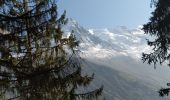 Percorso Marcia Chamonix-Mont-Blanc - 20211010 Chamonix Les Praz Sud - Photo 5