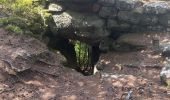 Trail  Obernai - MUR PAÏEN MONT STE ODILE  - Photo 16