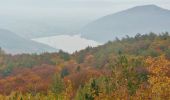 Tour Zu Fuß Edertal - Nationalparkrundweg Ochsenwurzelskopf-Route - Photo 8